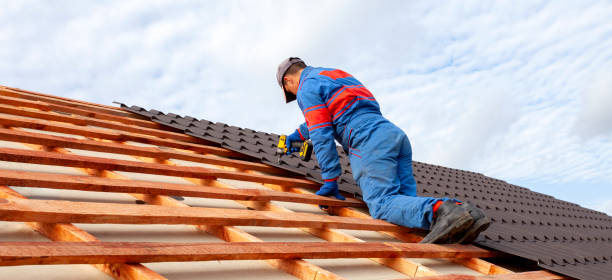 Best Roof Moss and Algae Removal  in Bayou Country Clu, LA